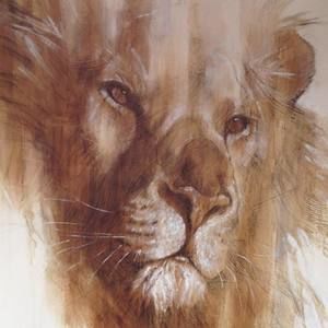 Meet your Posher, Calvin